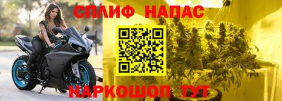 молекула духа Бийск