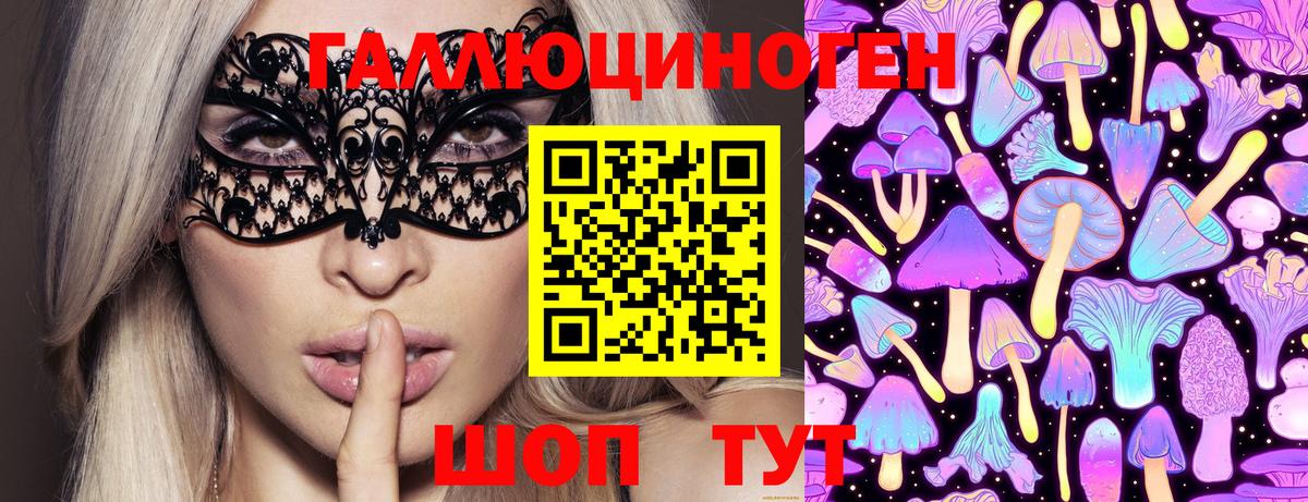 Псилоцибиновые грибы Psilocybe Кимовск